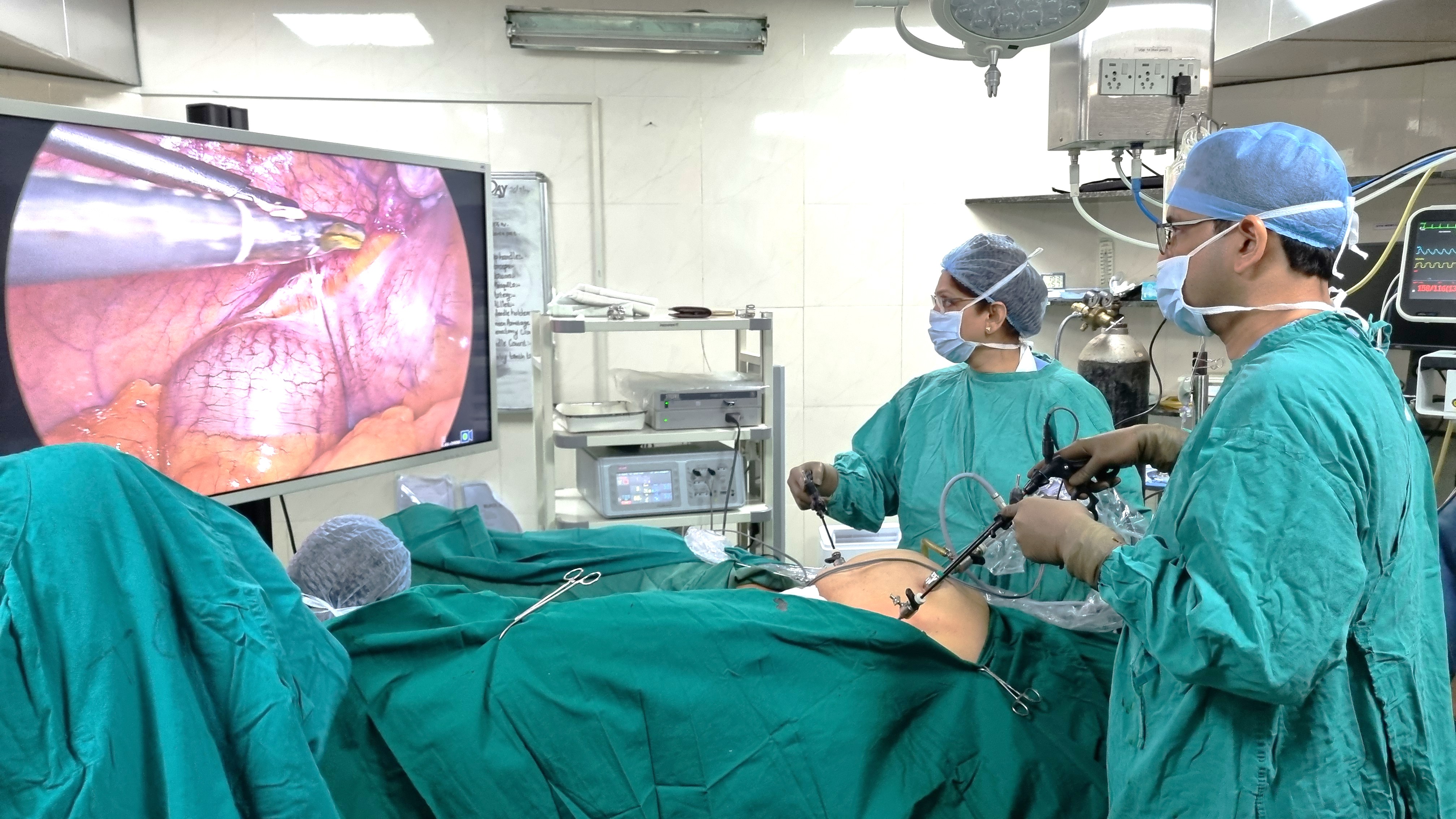 Endo Gyne Training Surgical Environment